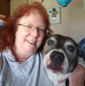 Meet your Posher, Laurie